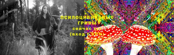 прущая мука Вязники